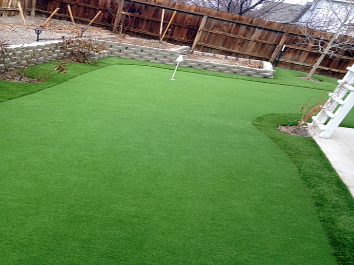 Grass Turf Princeton, California Putting Green, Backyard Garden Ideas