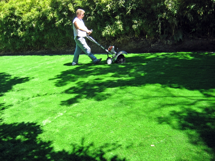 Green Lawn Clio, California Landscape Ideas, Backyard Designs
