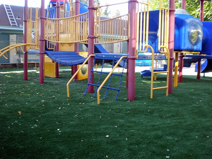 Green Lawn French Camp, California Backyard Playground, Commercial Landscape