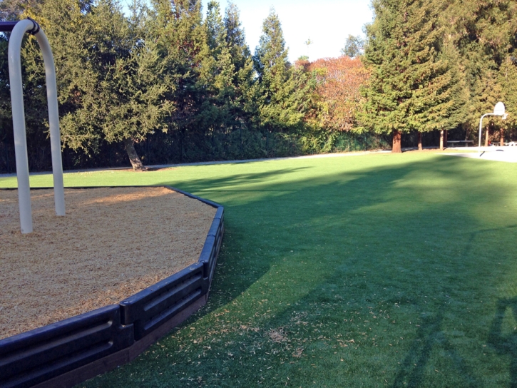 Green Lawn Jackson, California Athletic Playground, Recreational Areas