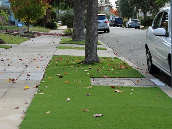 Green Lawn Kennedy, California City Landscape, Front Yard Landscaping