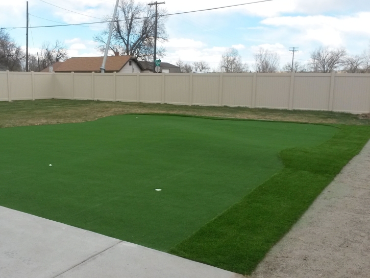 Green Lawn Windsor, California Indoor Putting Greens, Backyards