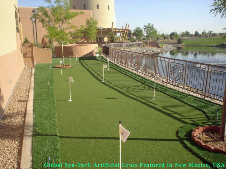 How To Install Artificial Grass Arden-Arcade, California Putting Green Carpet, Small Backyard Ideas