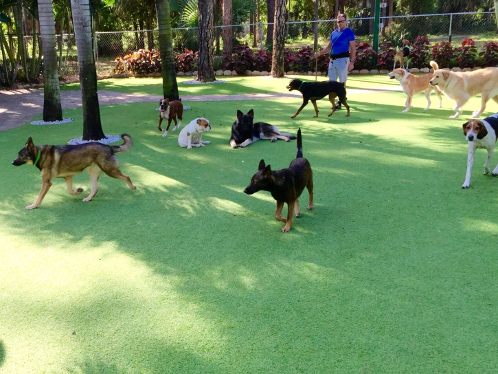 How To Install Artificial Grass Healdsburg, California Dog Grass, Grass for Dogs