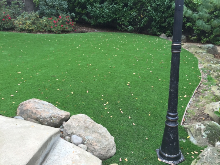 How To Install Artificial Grass Oakland, California Landscape Photos, Beautiful Backyards
