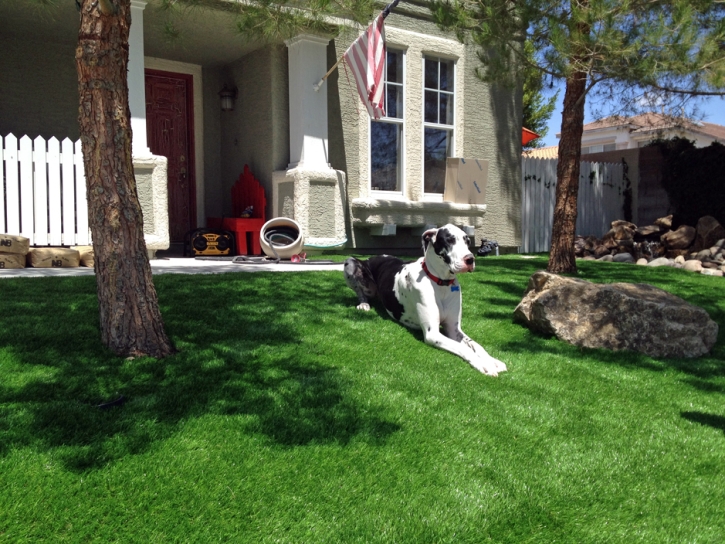 Installing Artificial Grass Dublin, California Indoor Dog Park, Dog Kennels