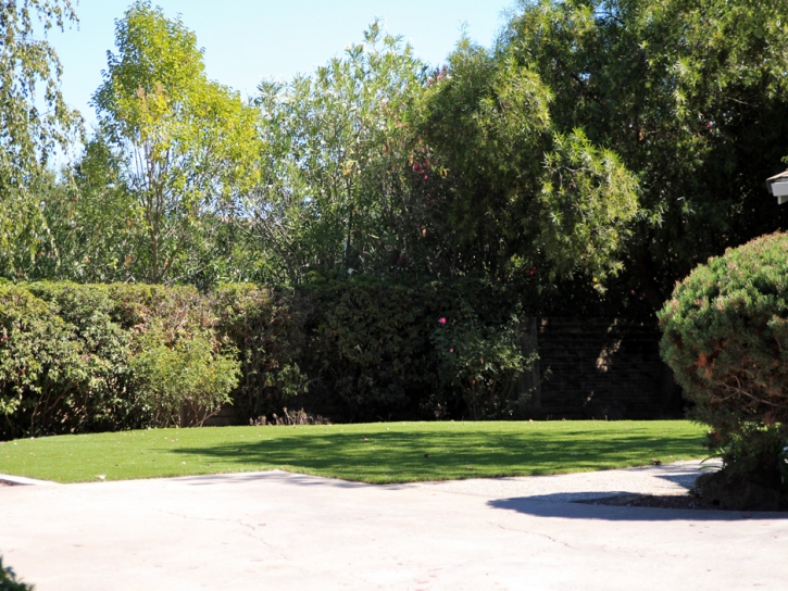 Installing Artificial Grass Menlo Park, California Dog Run, Front Yard Landscaping Ideas