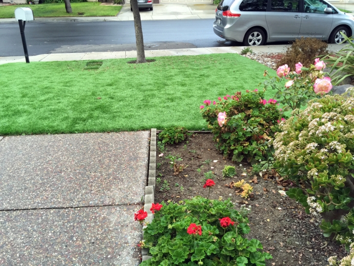 Installing Artificial Grass Napa, California Rooftop, Front Yard Landscaping