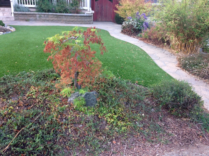 Lawn Services Acampo, California Lawn And Landscape, Front Yard Landscape Ideas