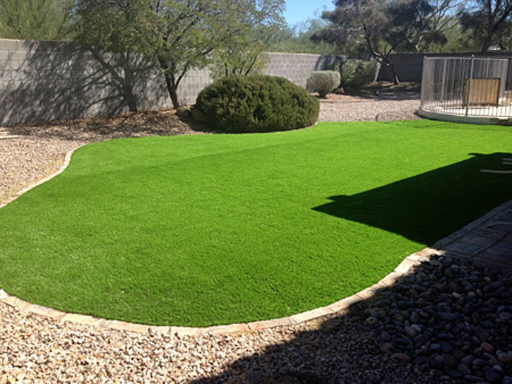 Lawn Services Wilton, California City Landscape, Small Backyard Ideas