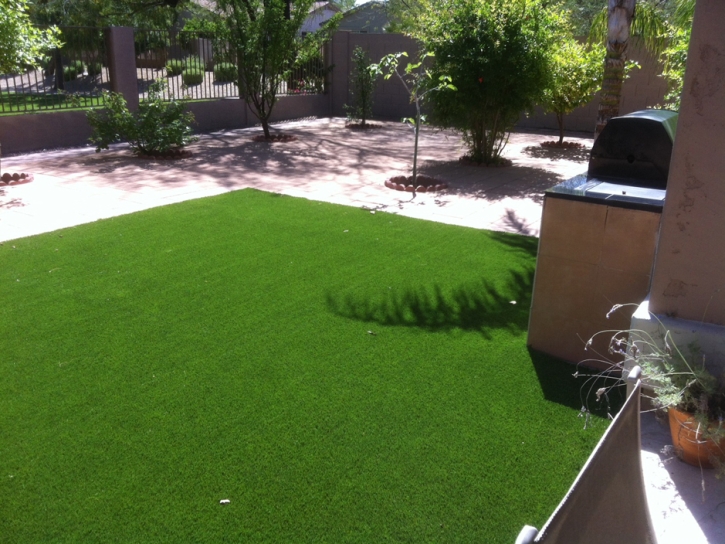 Outdoor Carpet Clearlake Oaks, California Hotel For Dogs, Backyard Makeover