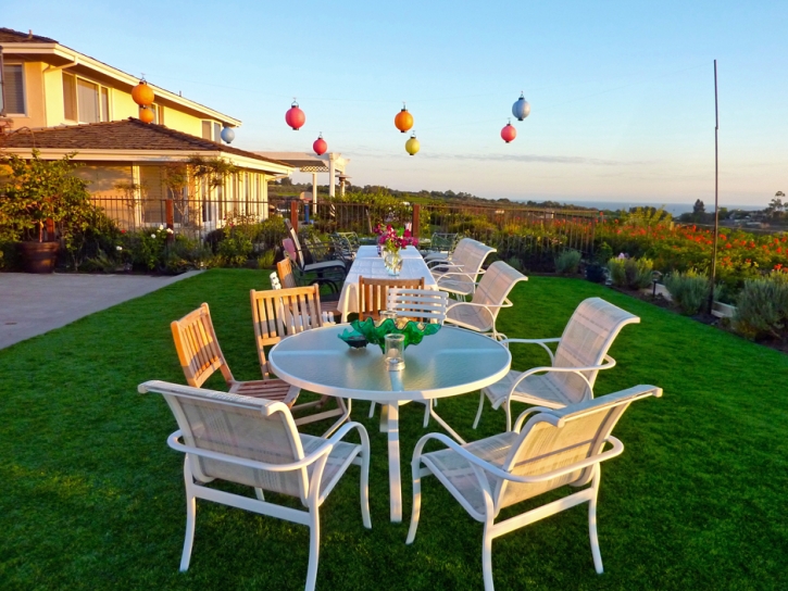 Outdoor Carpet Coloma, California Roof Top, Small Backyard Ideas