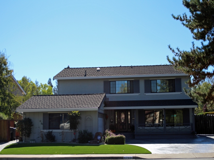 Outdoor Carpet Lincoln Village, California Garden Ideas, Front Yard Landscaping Ideas