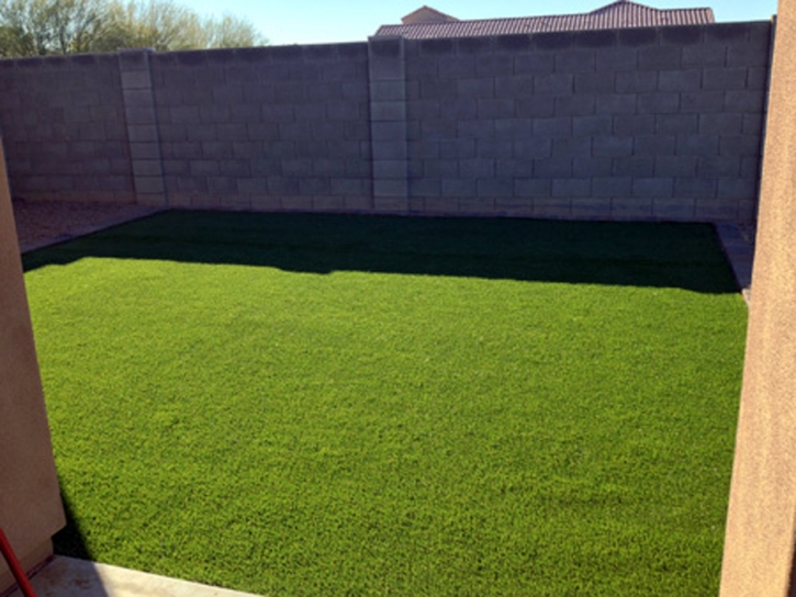 Outdoor Carpet Martinez, California Design Ideas, Backyard Design