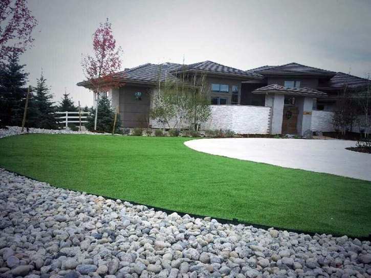 Outdoor Carpet Mountain Ranch, California Lawn And Garden, Front Yard Landscape Ideas