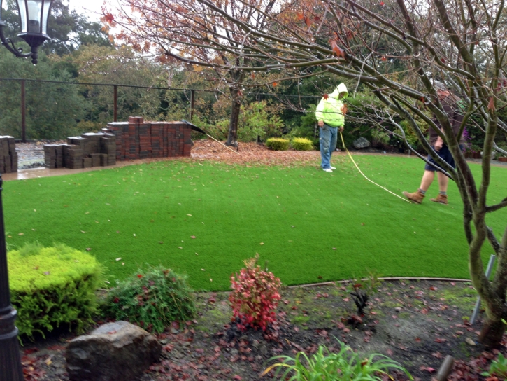 Outdoor Carpet Parkway, California Landscape Ideas, Backyard Ideas