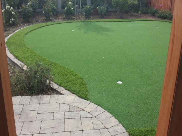 Outdoor Carpet Rocklin, California Landscaping, Backyard Landscaping Ideas