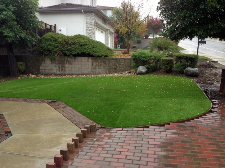 Outdoor Carpet Sacramento, California Lawns, Backyard Garden Ideas