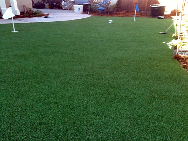 Outdoor Carpet Sheridan, California Artificial Putting Greens, Backyard Landscaping