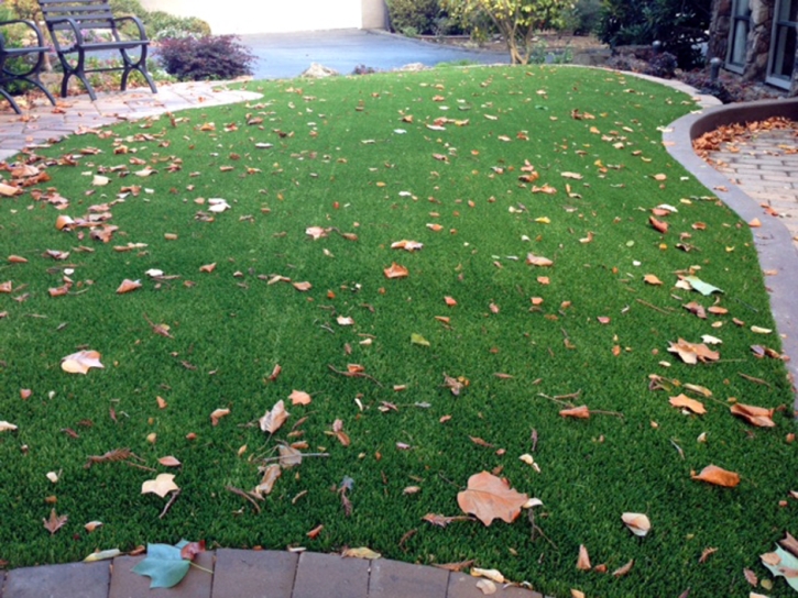 Outdoor Carpet Victor, California Paver Patio, Front Yard Landscape Ideas