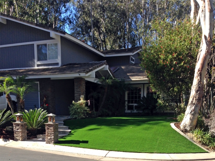 Outdoor Carpet West Point, California Landscape Design, Front Yard Ideas