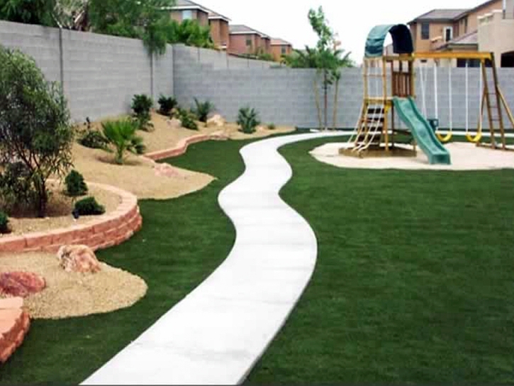 Plastic Grass Amador City, California Landscaping Business, Backyard Landscaping Ideas