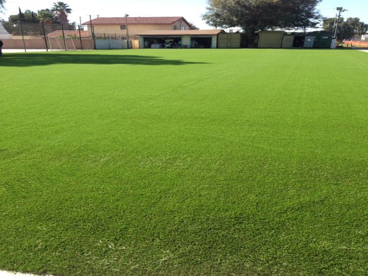 Plastic Grass Drytown, California Sports Turf, Recreational Areas