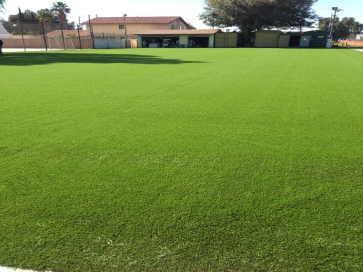 Plastic Grass Drytown, California Sports Turf, Recreational Areas