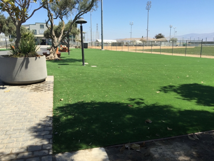 Plastic Grass East Sonora, California Landscaping Business, Parks