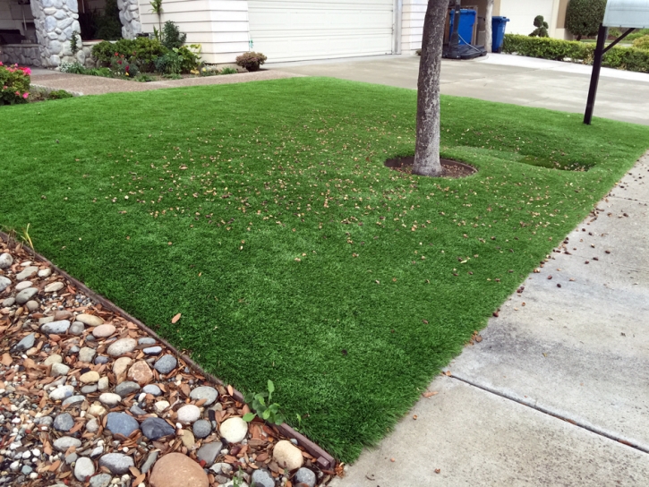 Plastic Grass Honcut, California Rooftop, Front Yard Landscaping