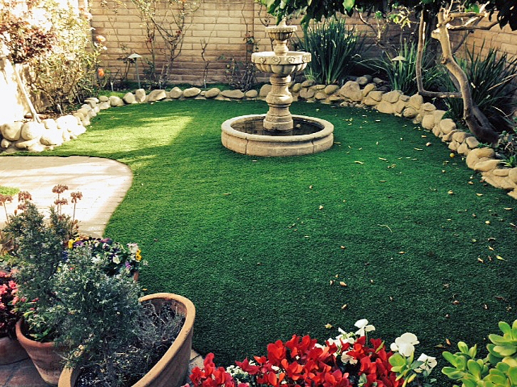 Plastic Grass La Riviera, California Design Ideas