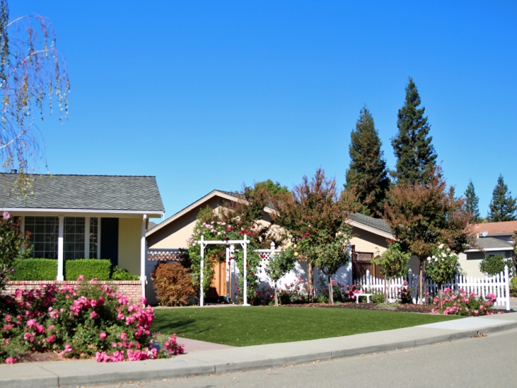 Plastic Grass Montara, California Landscape Rock, Small Front Yard Landscaping