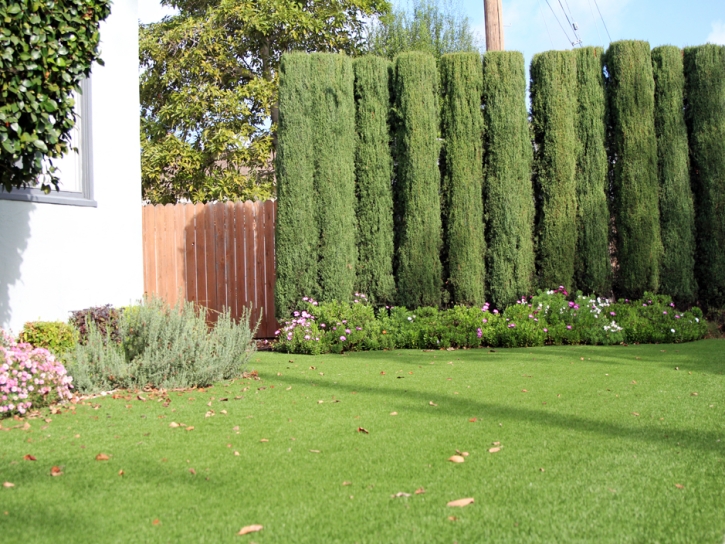 Plastic Grass Mountain View, California Design Ideas, Front Yard Ideas