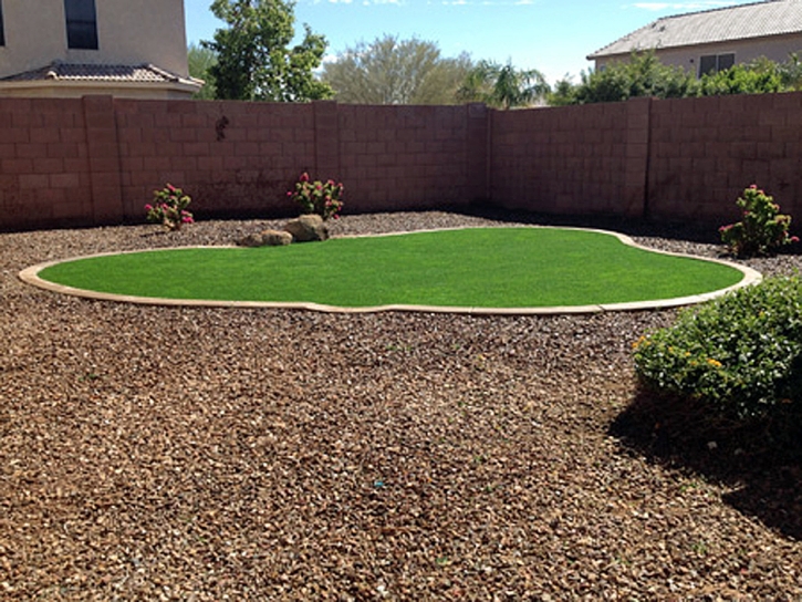 Plastic Grass Williams, California Landscaping, Backyard Landscaping