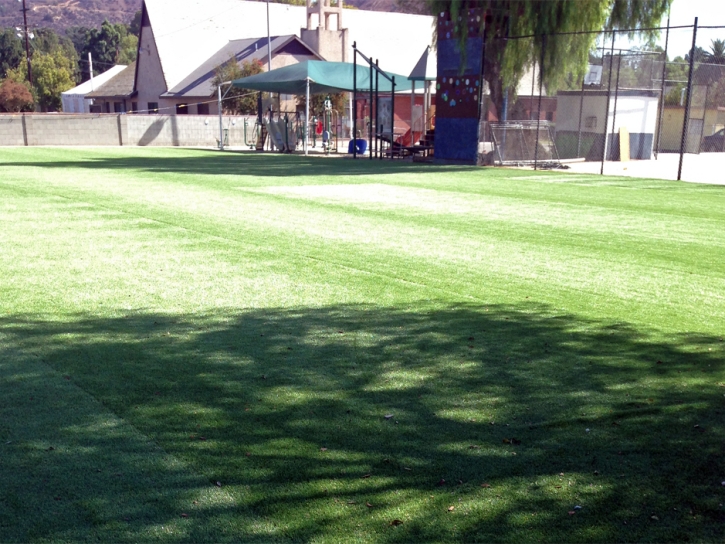 Plastic Grass Yolo, California Landscaping Business, Recreational Areas