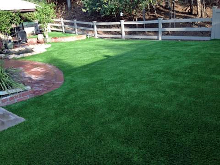 Synthetic Grass Arbuckle, California Grass For Dogs, Backyard Design