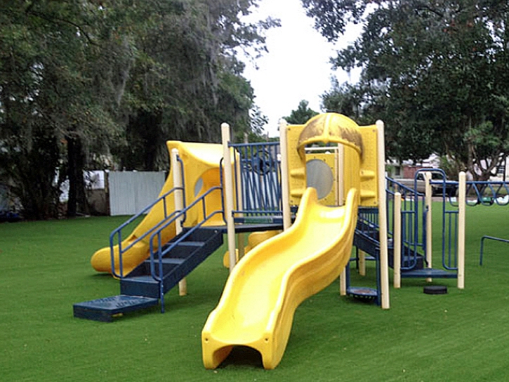 Synthetic Grass Challenge-Brownsville, California Lawn And Garden, Recreational Areas