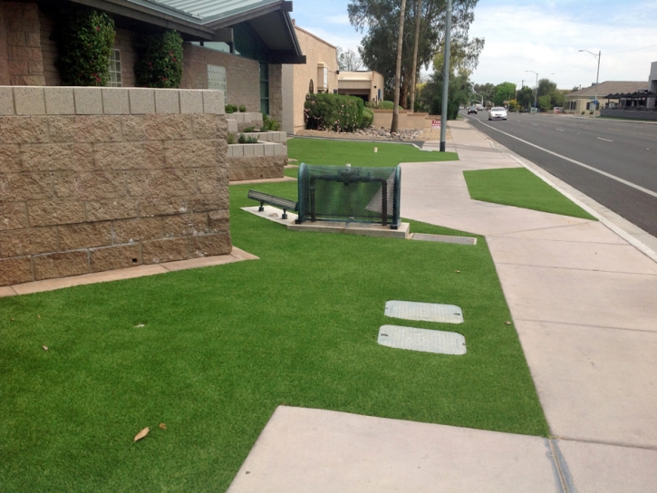 Synthetic Grass Cost Bucks Lake, California Garden Ideas, Front Yard Design