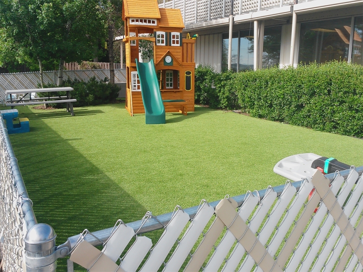 Synthetic Grass Cost Piedmont, California Landscape Design, Backyard Landscape Ideas