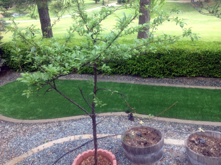 Synthetic Grass Cost Rail Road Flat, California Backyard Deck Ideas, Front Yard Landscaping