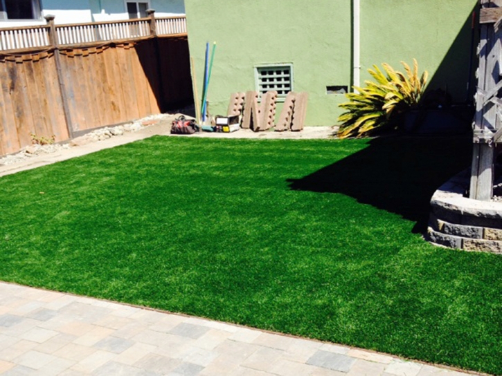 Synthetic Grass Cost San Francisco, California Dog Running, Backyards