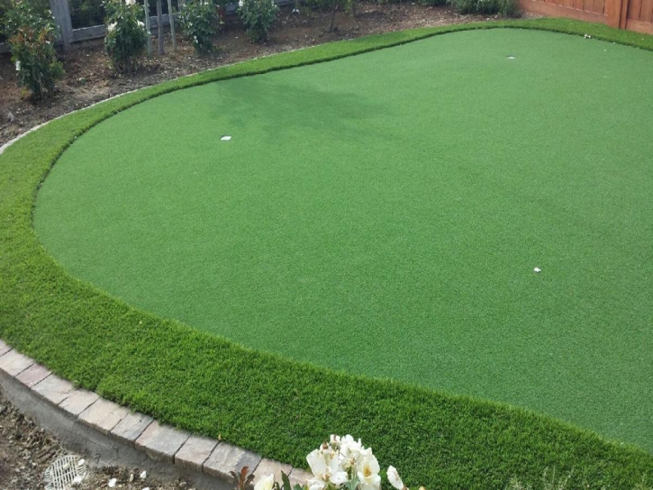 Synthetic Grass Eldridge, California Landscape Design, Backyard Designs