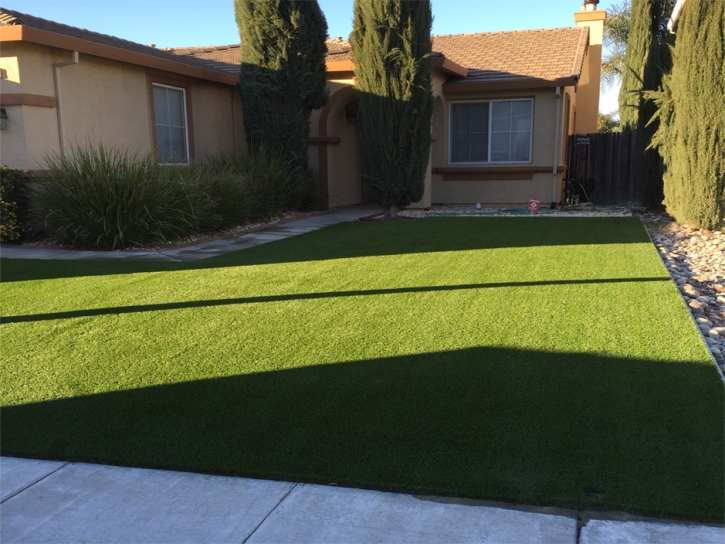 Synthetic Grass Emeryville, California Landscape Design, Front Yard Landscape Ideas