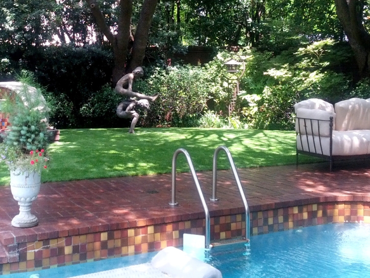 Synthetic Grass Rancho Cordova, California Landscaping Business, Backyards