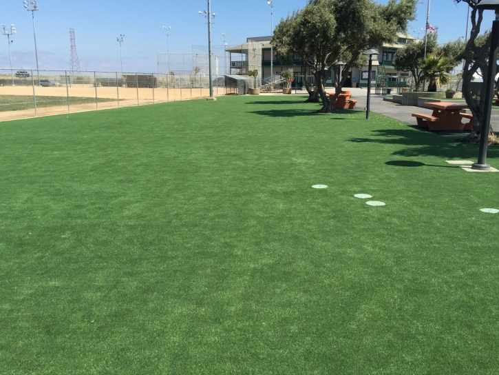 Synthetic Grass San Geronimo, California Lawns, Parks