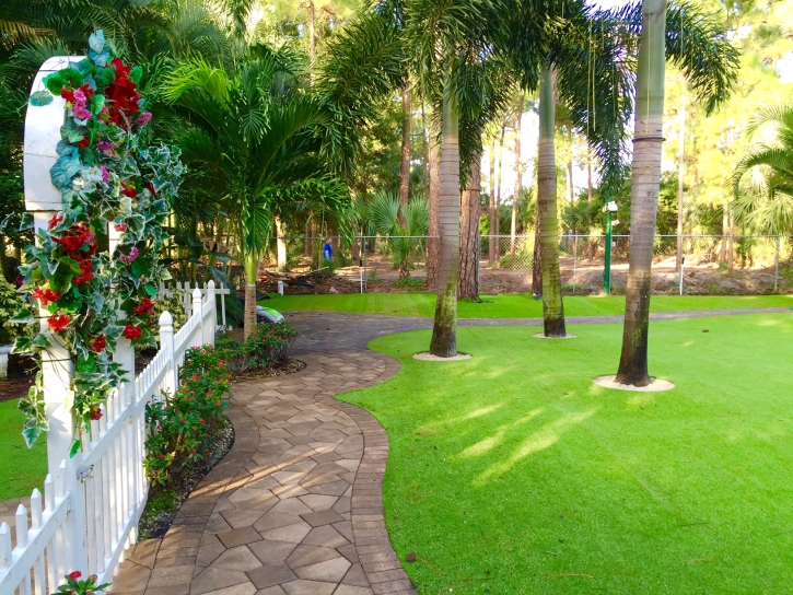 Synthetic Grass Sleepy Hollow, California Rooftop, Backyard Design