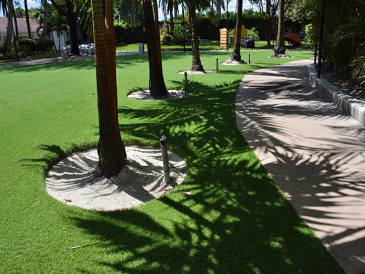 Synthetic Grass Taft Mosswood, California Cat Playground, Commercial Landscape