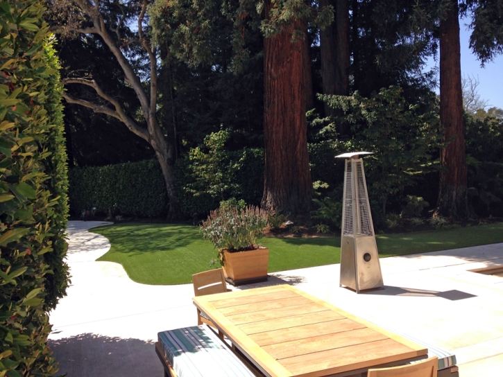 Synthetic Lawn Campbell, California Roof Top, Backyard Landscaping