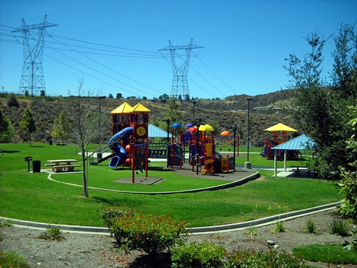 Synthetic Lawn Courtland, California Home And Garden, Recreational Areas