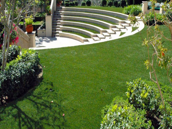 Synthetic Lawn Dogtown, California Design Ideas